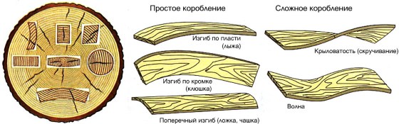 98876